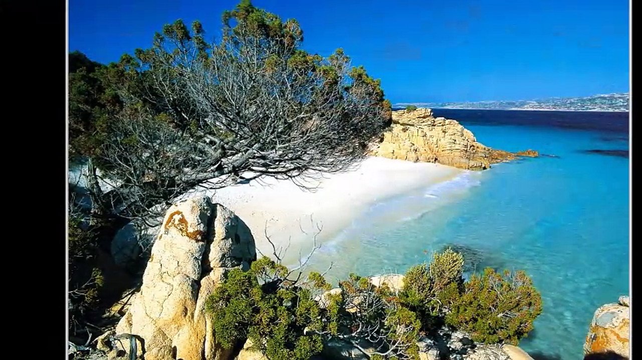 Project Maddalena