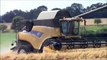 2 New Holland combines harvesting wheat. 2014.wvm