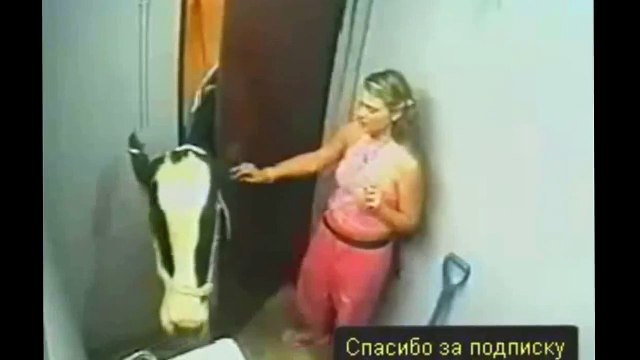 Городская девушка в деревне! Смотрите прикол!