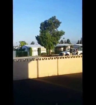 Дебошира сбила машина!Смотреть Всем!