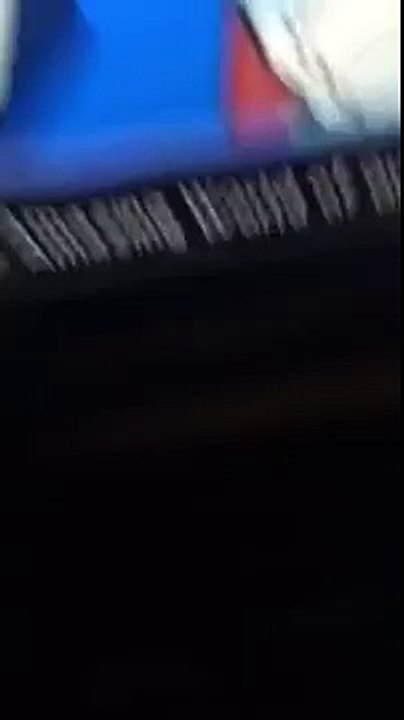 The powerpuff girls [2016]