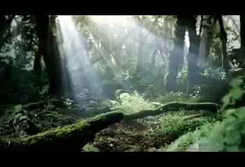 Короткий ролик.