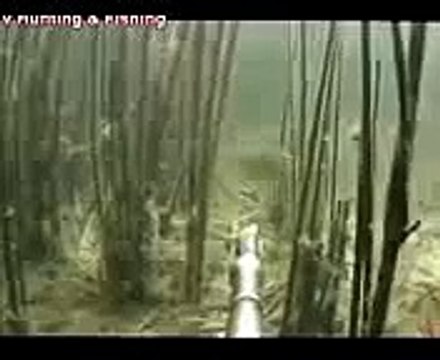 Подводная охота 2015 ловля карпа подводная рыбалка