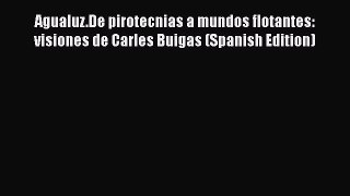 Download Agualuz.De pirotecnias a mundos flotantes: visiones de Carles Buigas (Spanish Edition)