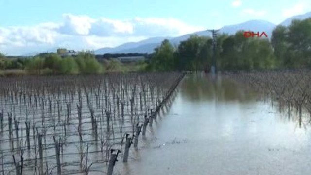 Manisa - Kum Çay Taştı, Bağlar Sular Altında Kaldı