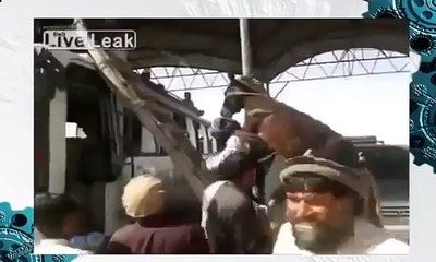 Как перевезти осла Смотреть всем!!!