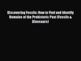 Read Discovering Fossils: How to Find and Identify Remains of the Prehistoric Past (Fossils