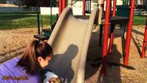 Puppies Playing on Slides Compilation