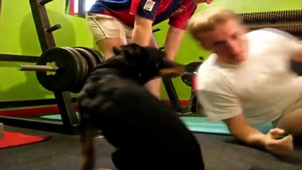 Le Zap de Spion 152 /zap2spion/le zapping - 2016