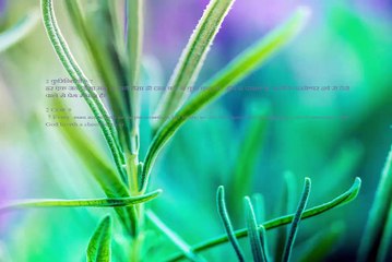 Christian song E KHUDAYA TERE DAR PAR JO BHI AAYA HAI