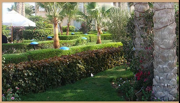 ГДЕ ЖЕ КОТ 501, 502, 503, 504, 505 уровень - Ответы, подсказки на игру Где же кот в Одноклассниках