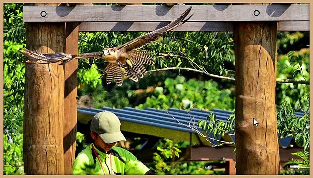 ГДЕ ЖЕ КОТ 206, 207, 208, 209, 210 уровень - Ответы, подсказки на игру Где же кот в Одноклассниках