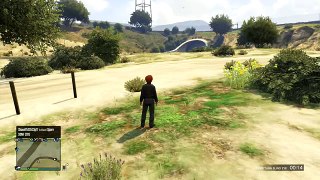 GTA 5 no life pilot