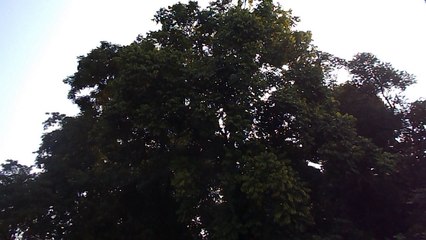 Beautiful Murti River Video Dooars West Bengal