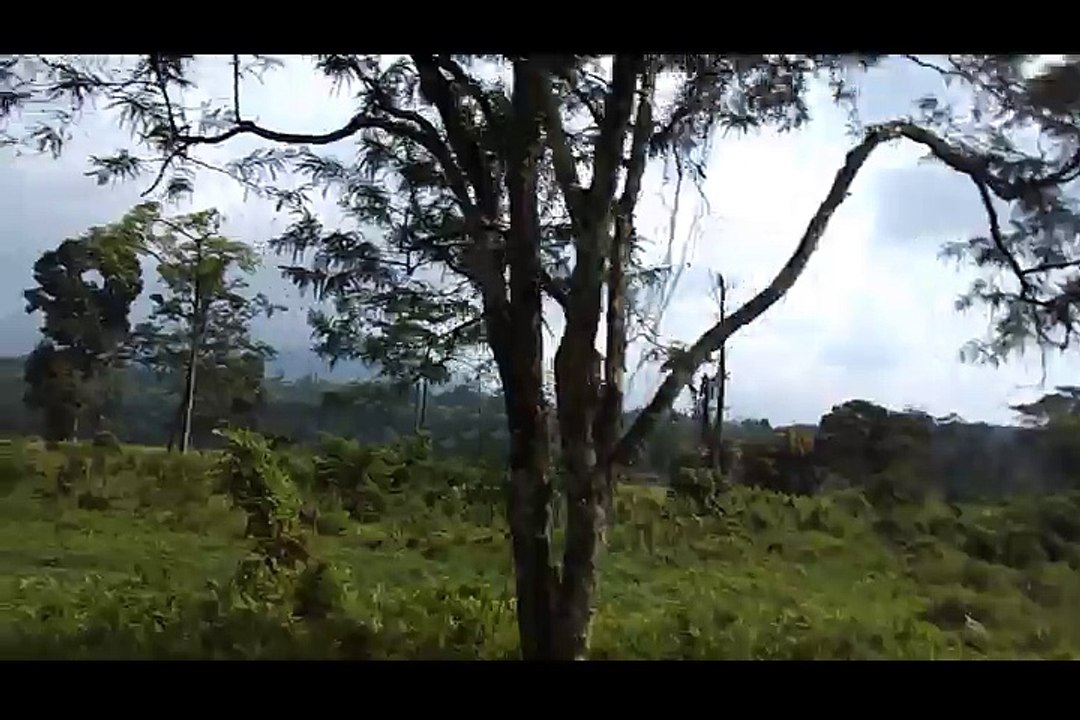 Amazing view of Mountain West Bengal, India