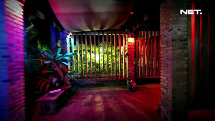 Ada Band - Manusia Bodoh