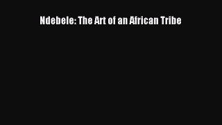 [Download PDF] Ndebele: The Art of an African Tribe Read Online