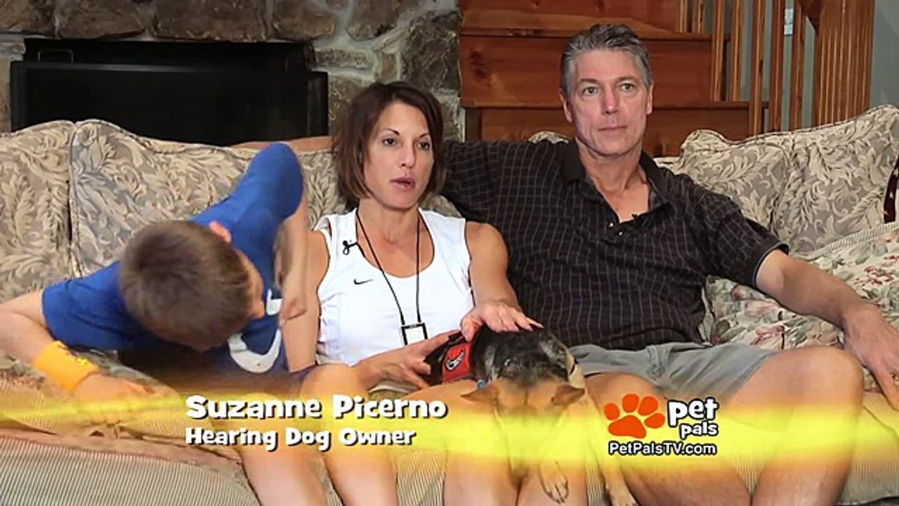 Allie The Hearing Dog Shows Off His Skills