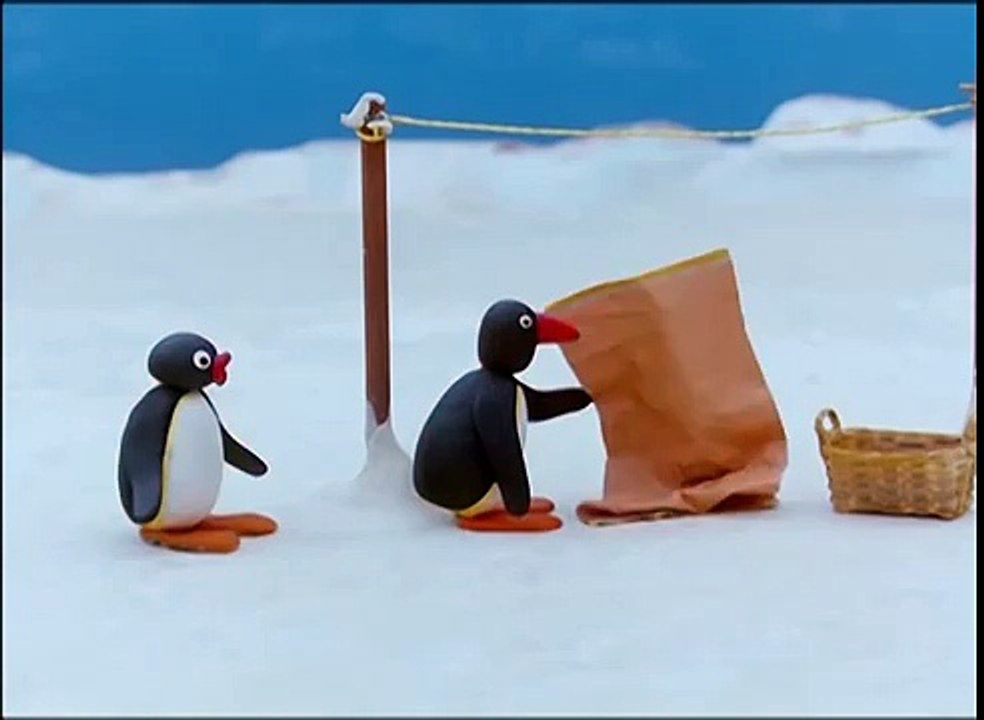 Pingus Prank Pingu Official Channel