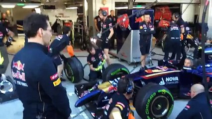Тренировка пит-стопа и медведь.Формула 1