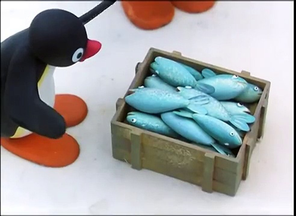 Pingu draws a winner clip Pingu Official Channel