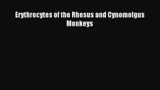 Read Erythrocytes of the Rhesus and Cynomolgus Monkeys Ebook Free