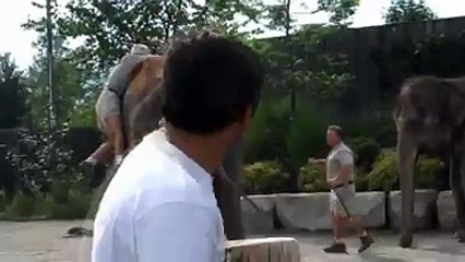 Idiot tries to ride an elephant || funny whatsapp videos