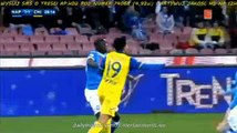 Pepe Reina SUPER SAVE Napoli 1-1 Chievo SERIE A