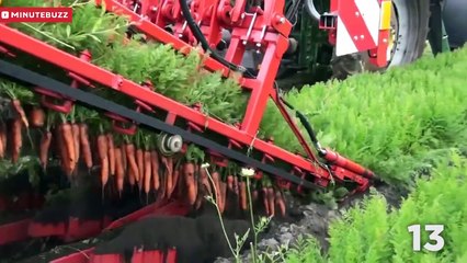 lo tienes que ver antes de morir