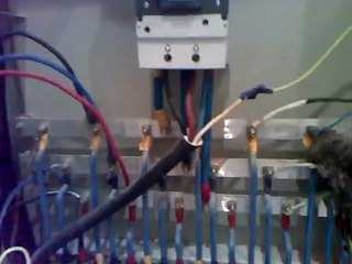 380 volt gerginliye kelle vuran sican. kabel yemek iwtahi heyatina son qoydu