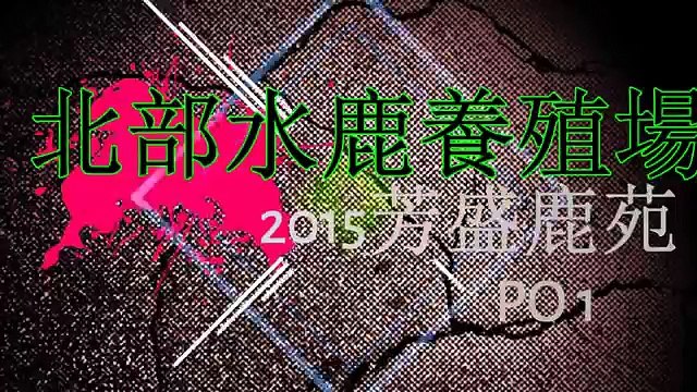 2015 ~!!! , ~~~~!!!