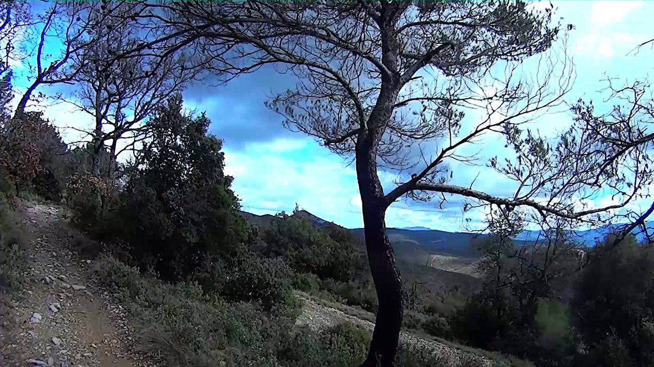 Balade entre Ste Baume et Ste Victoire