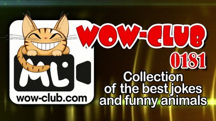 The best funny of 2016 The Best Jokes and Funny Animals Compilation WOW-club 0181