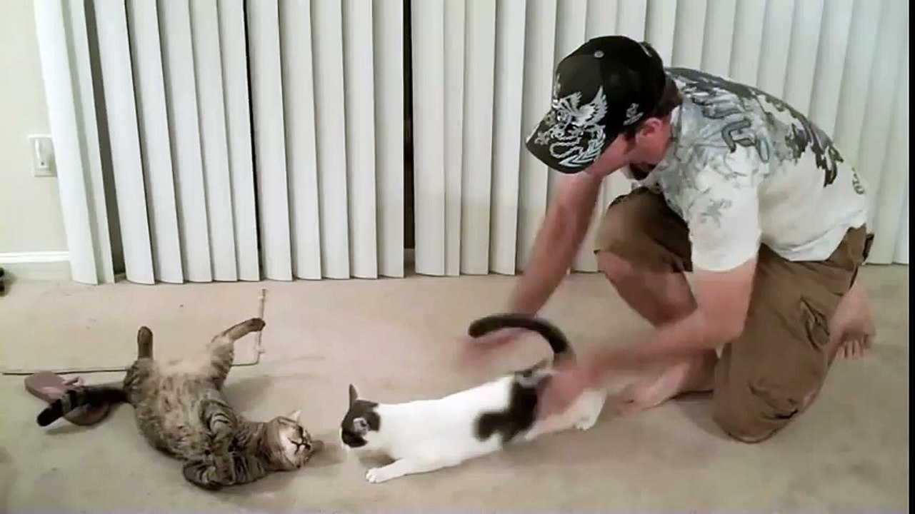Mean Kitty - Love Me, Beat Me 7.30.09