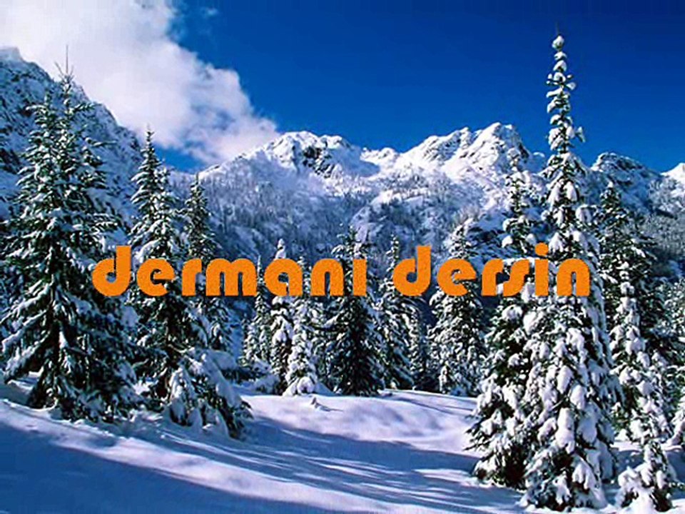 DİYORUM Kİ GİTME  // ÖMER FARUK DEMİRAL