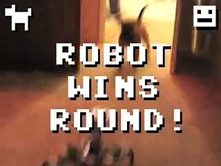 Puppy Vs. Robot! Epic Battle For Territorial Domination!