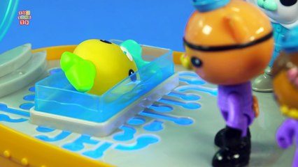 The Octonauts Adventure Where Did the Vegimals Come From?