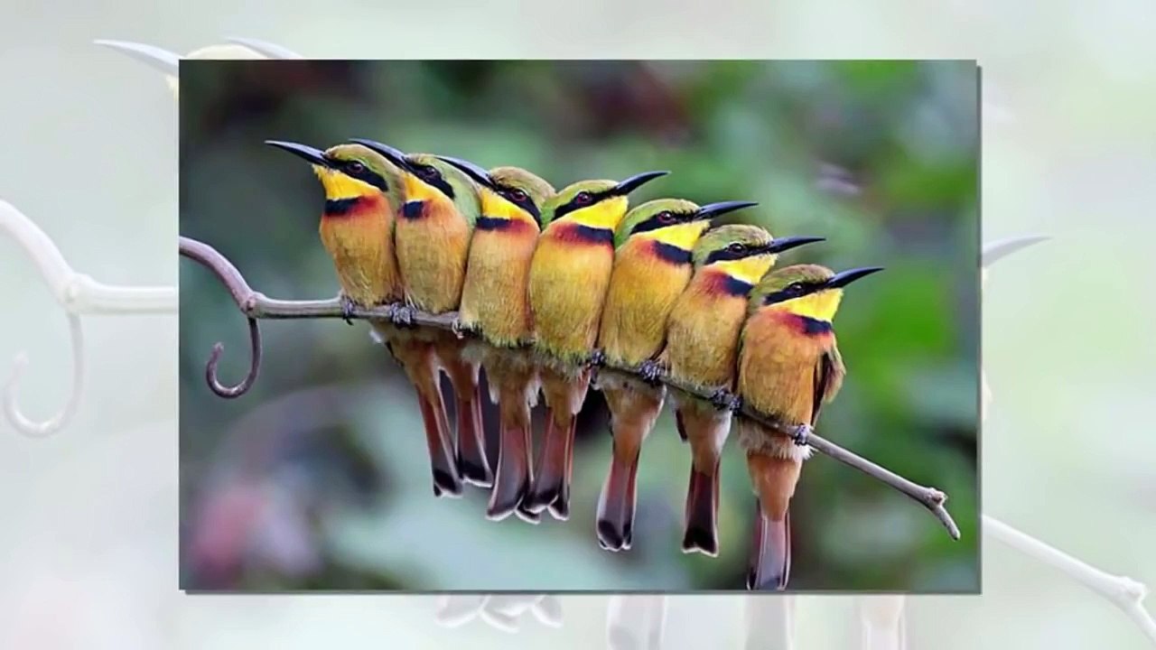 PHOTOS TAKEN AT The RIGHT TIME | Right Moment Pics Fail | Top Funny Videos 2016