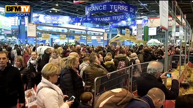 Salon de l'Agriculture: éleveurs et animaux commencent à fatiguer