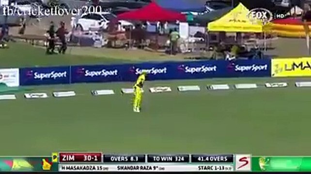 Nice Fielding by Australian Fielders