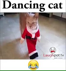 VID-20160304-WA0104.mp4