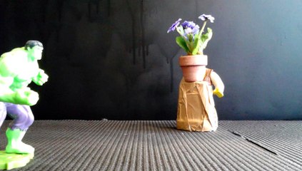 École de Thorigné 79 / Stop-Motion réalisé en 20 min