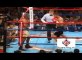 Roy Jones JR VS Mike Tyson  Biggest Boxers