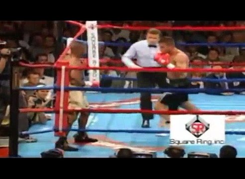 Roy Jones JR VS Mike Tyson Biggest Boxers