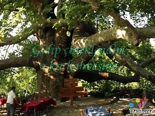 SANKİ // ÖMER FARUK DEMİRAL