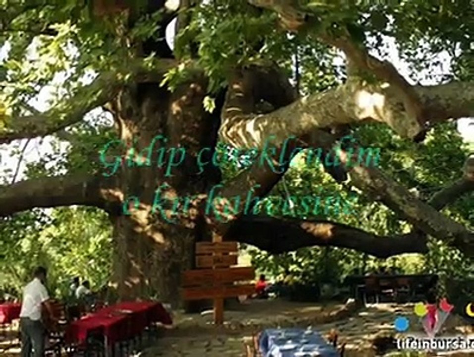 SANKİ // ÖMER FARUK DEMİRAL