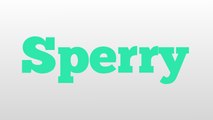 Sperry meaning and pronunciation