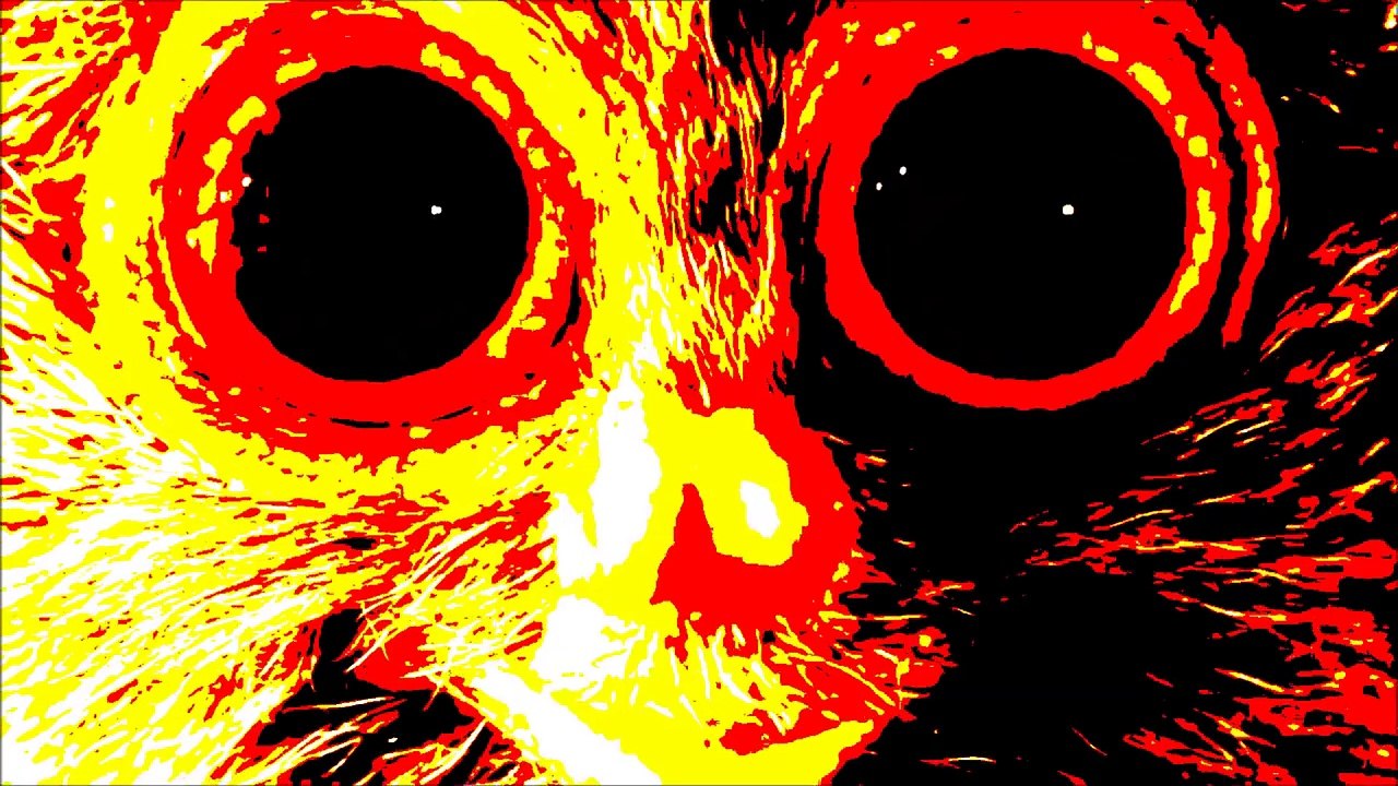 Looped Cute McVities Jaffa Cake Advert  Commercial - Cute  Funny Advert (Tarsier  Tamarin)