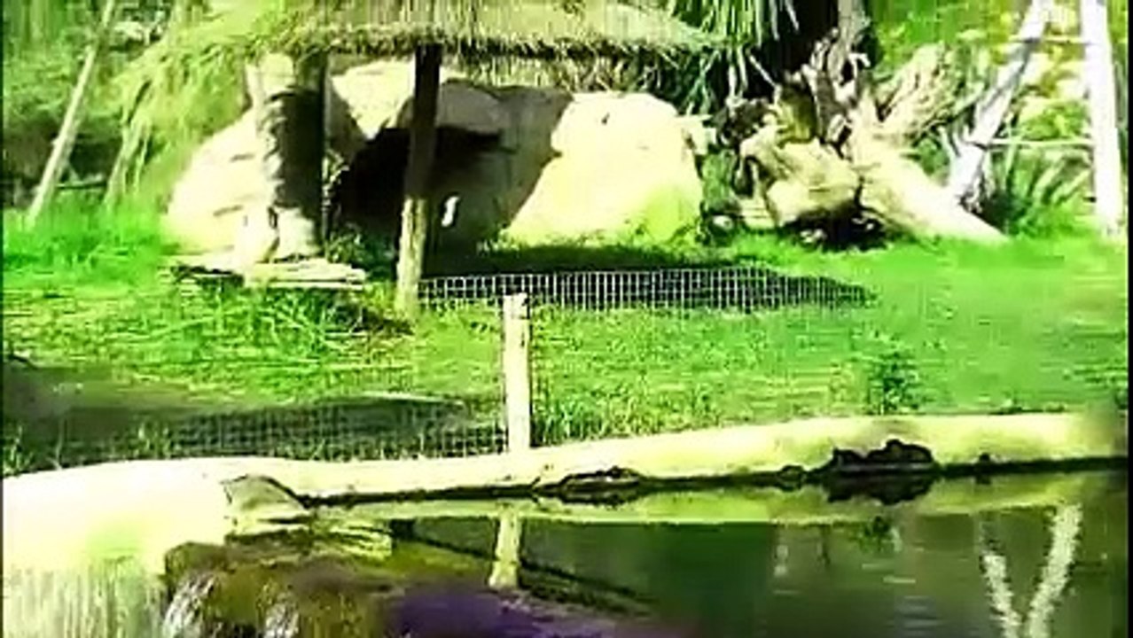 Friguia Park ( part 1 )
