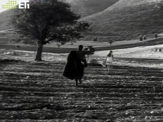 Στάσου, μύγδαλα!